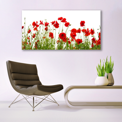 Plexiglas® Wall Art Poppies floral red green