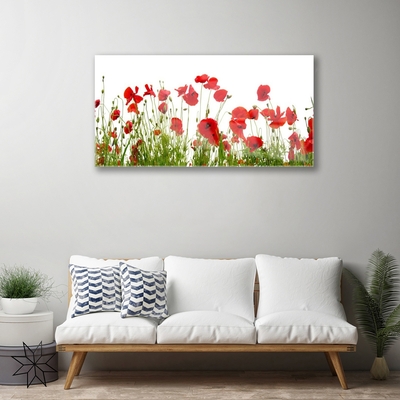 Plexiglas® Wall Art Poppies floral red green