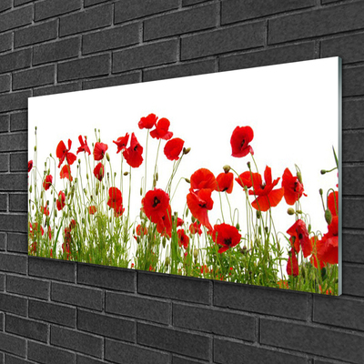 Plexiglas® Wall Art Poppies floral red green