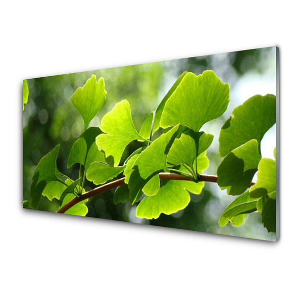 Plexiglas® Wall Art Branch leaves floral brown green