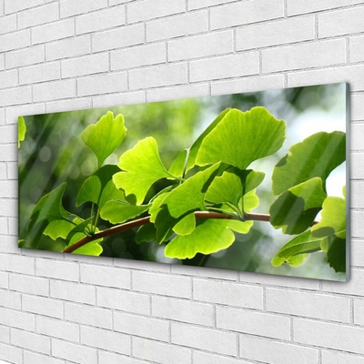 Plexiglas® Wall Art Branch leaves floral brown green