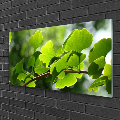 Plexiglas® Wall Art Branch leaves floral brown green