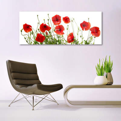 Plexiglas® Wall Art Poppies floral green red