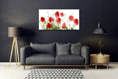 Plexiglas® Wall Art Poppies floral green red