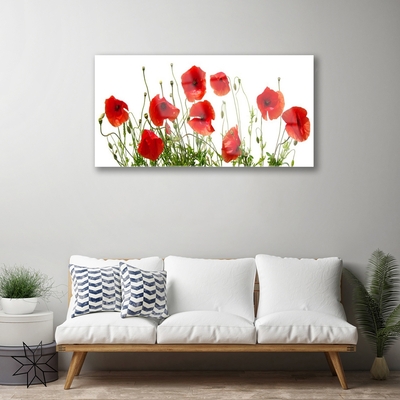 Plexiglas® Wall Art Poppies floral green red