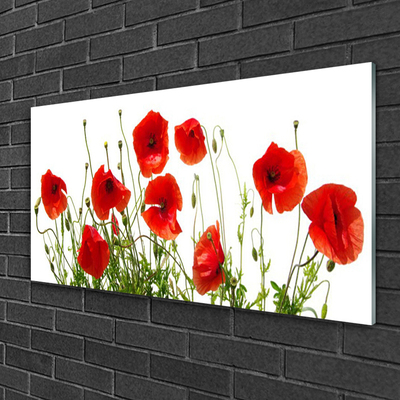 Plexiglas® Wall Art Poppies floral green red