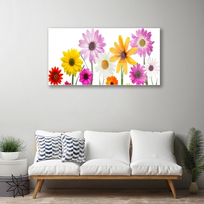 Plexiglas® Wall Art Flowers floral multi