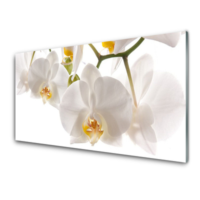 Plexiglas® Wall Art Flowers floral white