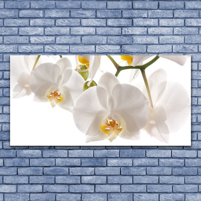 Plexiglas® Wall Art Flowers floral white