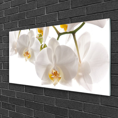 Plexiglas® Wall Art Flowers floral white