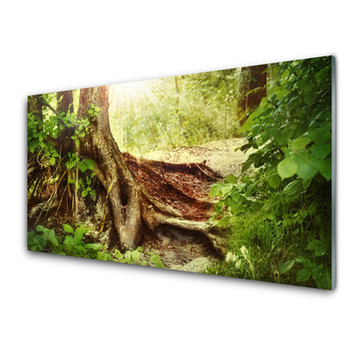 Plexiglas® Wall Art Tree trunk nature brown green