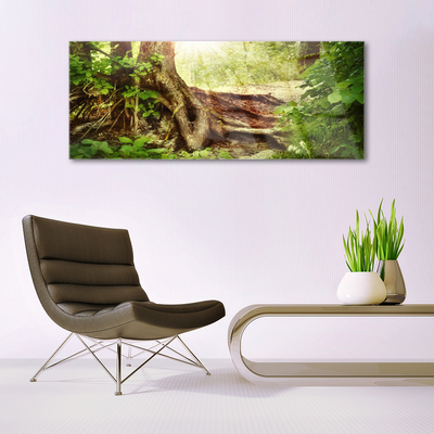 Plexiglas® Wall Art Tree trunk nature brown green