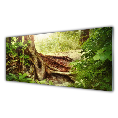 Plexiglas® Wall Art Tree trunk nature brown green
