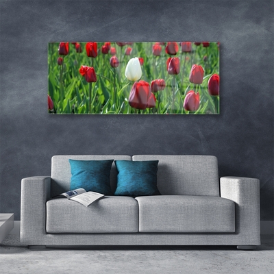 Plexiglas® Wall Art Tulips floral red white green