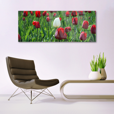 Plexiglas® Wall Art Tulips floral red white green