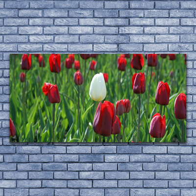 Plexiglas® Wall Art Tulips floral red white green