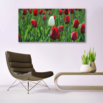 Plexiglas® Wall Art Tulips floral red white green