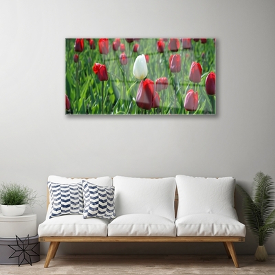 Plexiglas® Wall Art Tulips floral red white green
