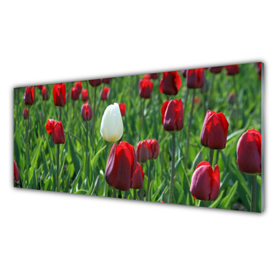 Plexiglas® Wall Art Tulips floral red white green