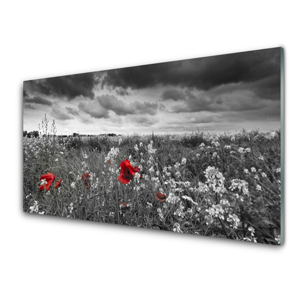 Plexiglas® Wall Art Meadow flowers nature grey red