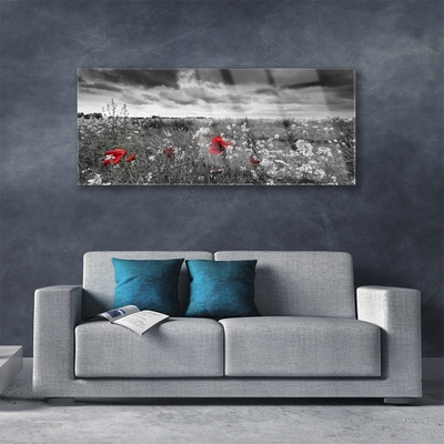 Plexiglas® Wall Art Meadow flowers nature grey red