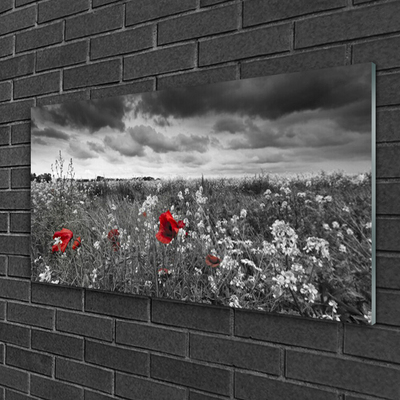 Plexiglas® Wall Art Meadow flowers nature grey red