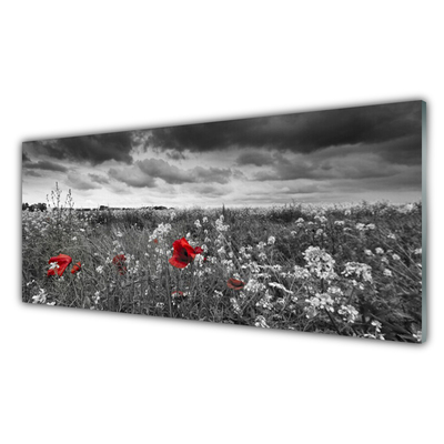 Plexiglas® Wall Art Meadow flowers nature grey red