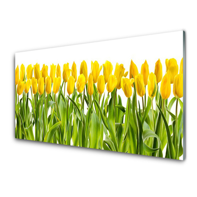 Plexiglas® Wall Art Tulips floral yellow green