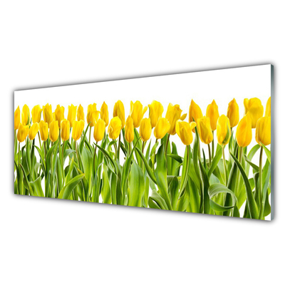 Plexiglas® Wall Art Tulips floral yellow green