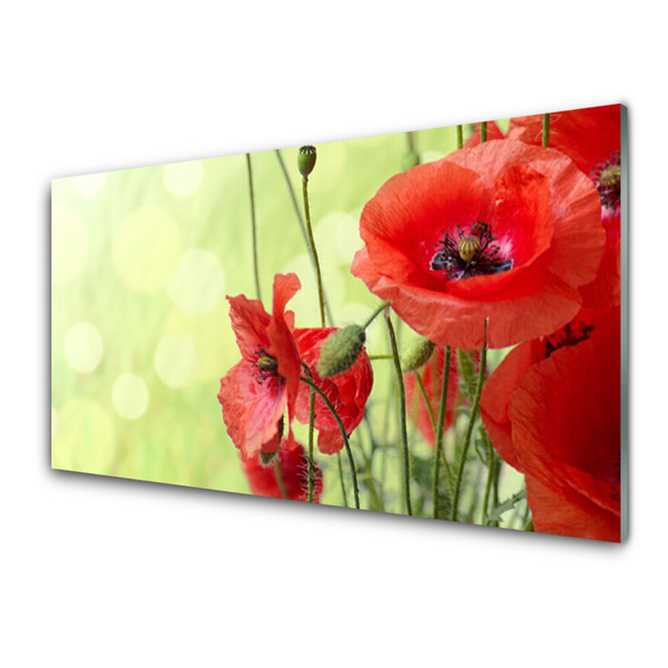 Plexiglas® Wall Art Poppies floral green red