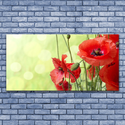 Plexiglas® Wall Art Poppies floral green red