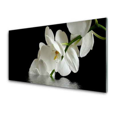 Plexiglas® Wall Art Flowers floral white