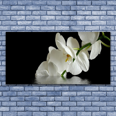 Plexiglas® Wall Art Flowers floral white