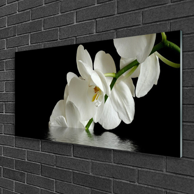 Plexiglas® Wall Art Flowers floral white