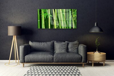 Plexiglas® Wall Art Bamboo stalks floral green