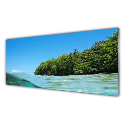 Plexiglas® Wall Art Sea trees landscape blue green
