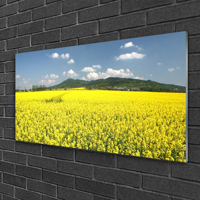 Plexiglas® Wall Art Meadow nature yellow