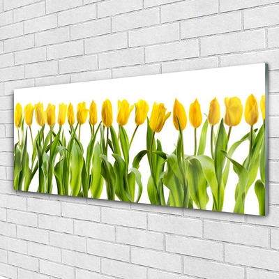 Plexiglas® Wall Art Tulips floral green yellow