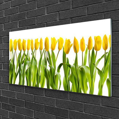 Plexiglas® Wall Art Tulips floral green yellow