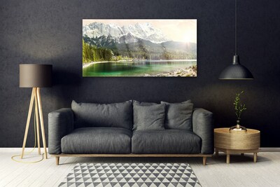 Plexiglas® Wall Art Mountain forest lake landscape white grey green