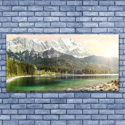 Plexiglas® Wall Art Mountain forest lake landscape white grey green