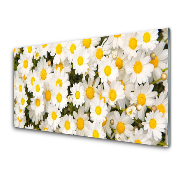 Plexiglas® Wall Art Daisy floral yellow white