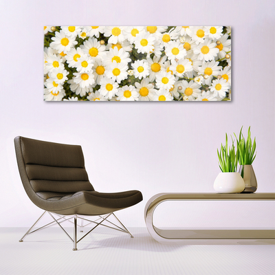 Plexiglas® Wall Art Daisy floral yellow white