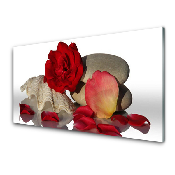 Plexiglas® Wall Art Rose conch stones art red white grey