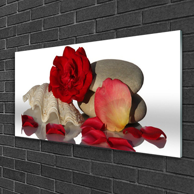 Plexiglas® Wall Art Rose conch stones art red white grey