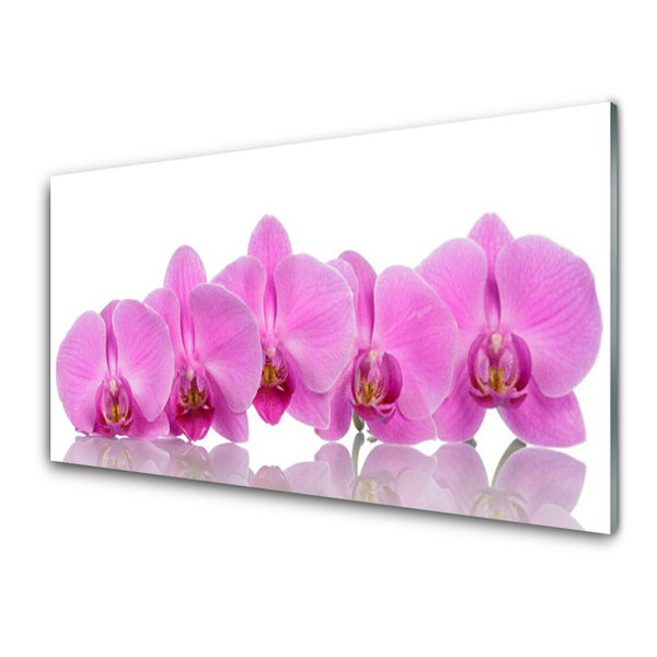 Plexiglas® Wall Art Flowers floral pink