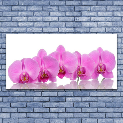 Plexiglas® Wall Art Flowers floral pink