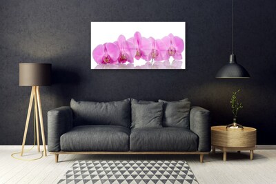 Plexiglas® Wall Art Flowers floral pink