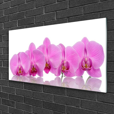 Plexiglas® Wall Art Flowers floral pink