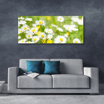 Plexiglas® Wall Art Daisy floral yellow white